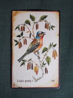 Kártyanaptár,Zeke Hajas Ilona festőművész,erdei pinty madár,gyógyszertár,patika, 2011  (3)