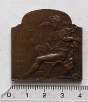 Orvos kongresszus bronzplakett 1909 - tervezte: Ifj. Vastagh György