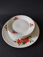 Zsolnay mikulásvirágos süteményes