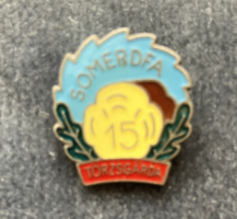 SOMERDFA 15 éves törzsgárda jelvény