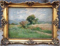 Zorkóczy Gyula (1873-1932) : Virágos rét