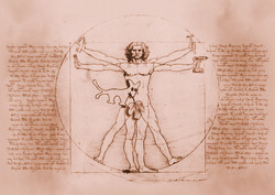 Leonardo da Vinci / Kovács Botond: Vitruvius-tanulmány