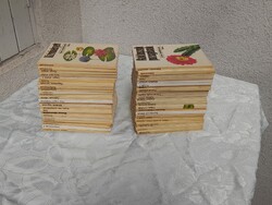 1,-USD 50 pcs Diving Pocket Books Set