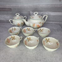 Carl Tielsch Altwasser antik porcelán teáskészlet