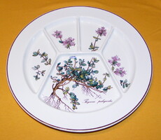Villeroy & Boch Botanica osztott porcelán tányér