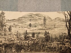 Gross arnold etching: nature's play