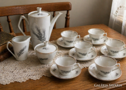 Lengyel porcelán kávés készlet – Chodzież, elegáns levélmintás, teljes szett