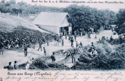Nyulas (Burgenland)  -  K.u.K.  katonák a Fertő- tónál  -  antik képeslap   1906