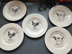 Farmos jet by ter steege flat plates 5 pcs