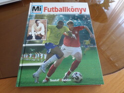 Mi MICSODA Futballkönyv   Tessloff és Babilon Kiadó, 2006
