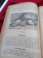 Antik ikonikus Monarchiás szakácskönyv 1887-ből, St.Hilaire Jozefa Első Pesti Képes Szakácskönyv
