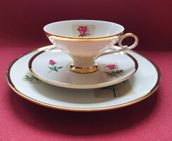 Bareuther Waldsassen Bavaria német porcelán reggeliző kávés teás szett csésze csészealj kistányér