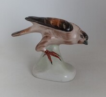 Aquincum porcelán Sas ragadozó madár!