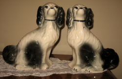 Angol  Staffordshire kutyapár