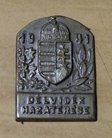 Délvidek Hazatérése 1941 jelvény ,  kitüző  . F2026