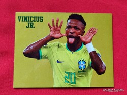 VINICIUS JUNIOR HŰTŐMÁGNES