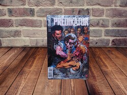Garth Ennis - Prédikátor 6.
