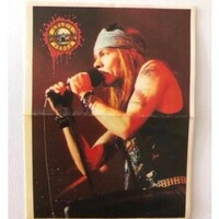 Guns N' Roses Classic Sticker