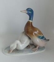 Metzler&Ortloff porcelán kacsapár!