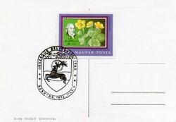 Levelezőlap: Bélyegkiállítás, Szarvas.