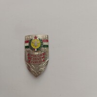 A POLGÁRI VÉDELEM KIVÁLÓJA kitüntetés