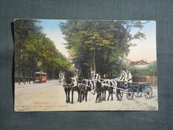 Postcard,Debrecen,five-horse ceremonial team,tree-lined avenue,tram in background,Railway edition Bp., 1916-