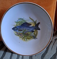Ritka hollóházi halas porcelán tányér, falitányér 3 (M6253)