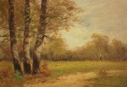 (N) Gyarmaty jelzéssel (20.sz 1.fele) : Pagony