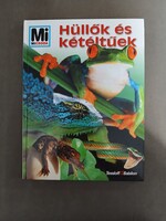 Hüllők és kétéltűek - Mi micsoda 61. - 1999