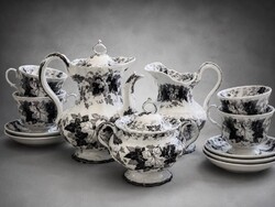 Villeroy & Boch Bryonia  teás készlet