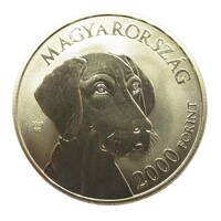 Hungary, 2000 Forint 2019 - Vizsla UNC Alloy