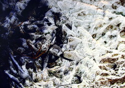 Jasensky jelzéssel : " TÉL "