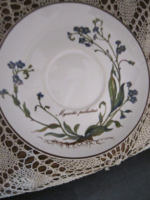 Villeroy & Boch Botanica mocsári nefelejcs tányér