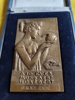 Egis bronz emlékplakett