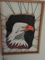 Bőr kép fehérfejű rétisas