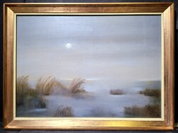 Zöld Anikó: Holdfényes este a Balaton partján - olajfestmény szép keretben! 70x50 cm, Balatoni nádas