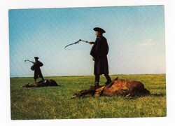 HORTOBÁGY - Csikósok, postatiszta képeslap,1976., ló, lovak, karikás ostor