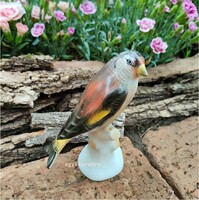 Aquincumi porcelán ágon ülő madár