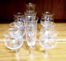 CLEARANCE SALE until November 30 Wine and Champagne Glasses Set