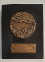Berény Róbert  : A Párt Proletárdiktatúra Védelmezőinek  MSZMP BP. Bizottsága  1957 bronz plakett