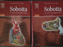 Sobotta - Az ember anatómiájának atlasza I-II. Gerince sérült