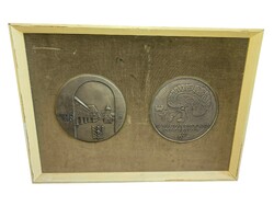 Magyar Endokrin Kongresszus Szeged 1979 Lapis András plakett