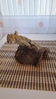 Egzotikus kézzel festett hüllő szobor