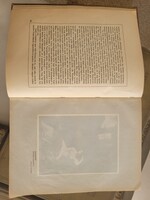 A nagy francia forradalom és Napoleon teljes sorotat