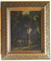(K) Pólya Iván (1889-1939) : Parkrészlet