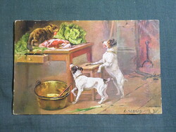 Képeslap,E. Samson grafikai,művészet,foxterrier kutya,macska,cica,1929-