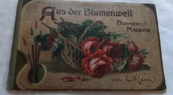 Rare Antique Art Nouveau Flower Painter's Book (1895-1905) Catharina Klein From the World of Flowers