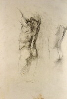 Tamás Cserna (1967) BACK nude STUDY