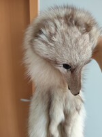 Ezüst róka szőrme stóla, silver fox fur