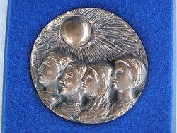 Bronz plakett